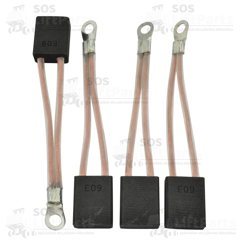 Pochette Balais moteur (x4) SELECTRON BC4123P