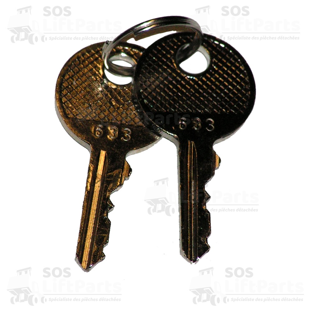 Jeu de 2 clés 695 SELECTRON NV2729C