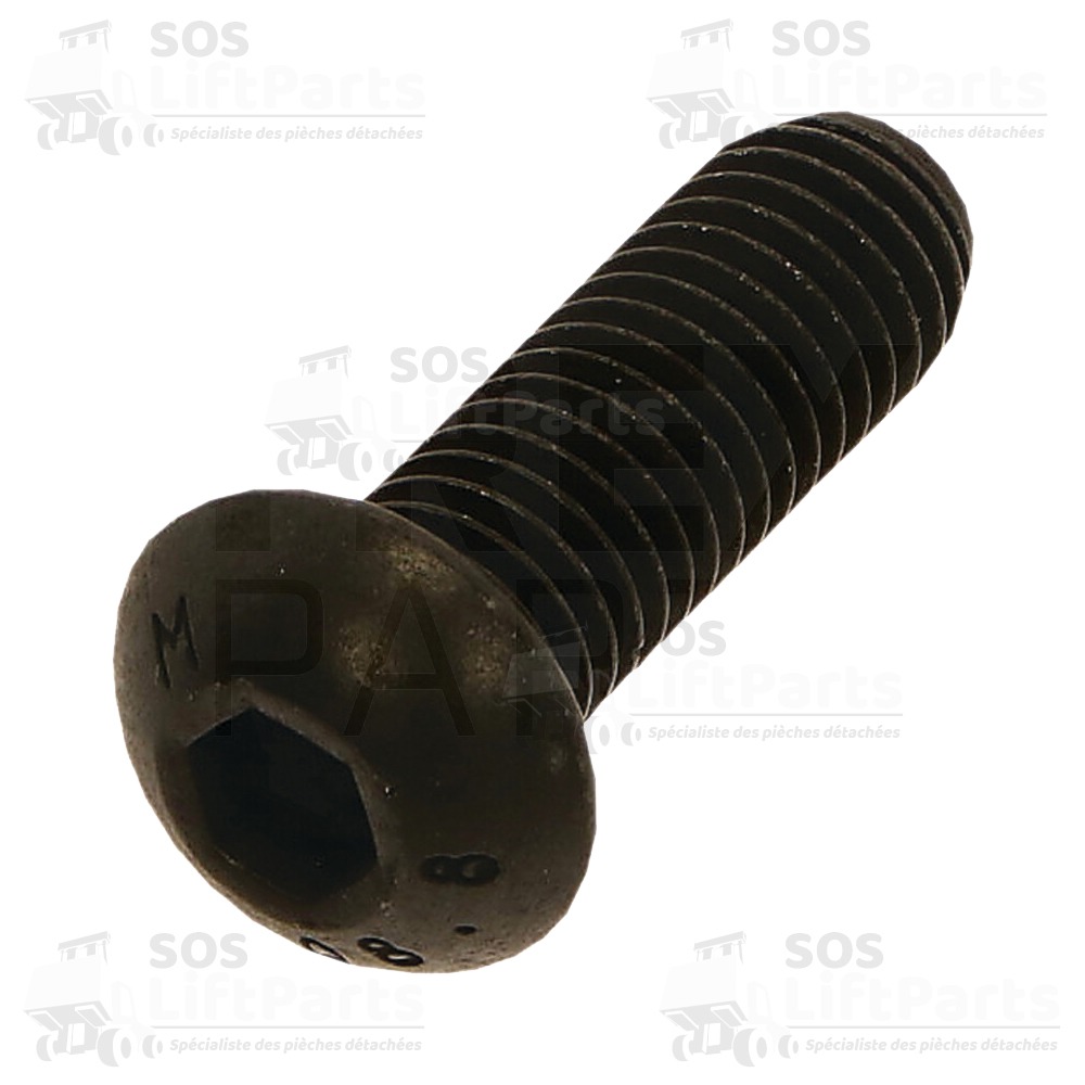VIS TETE BOMBEE M10X30-08.8-ZNB SELECTRON VIS6042