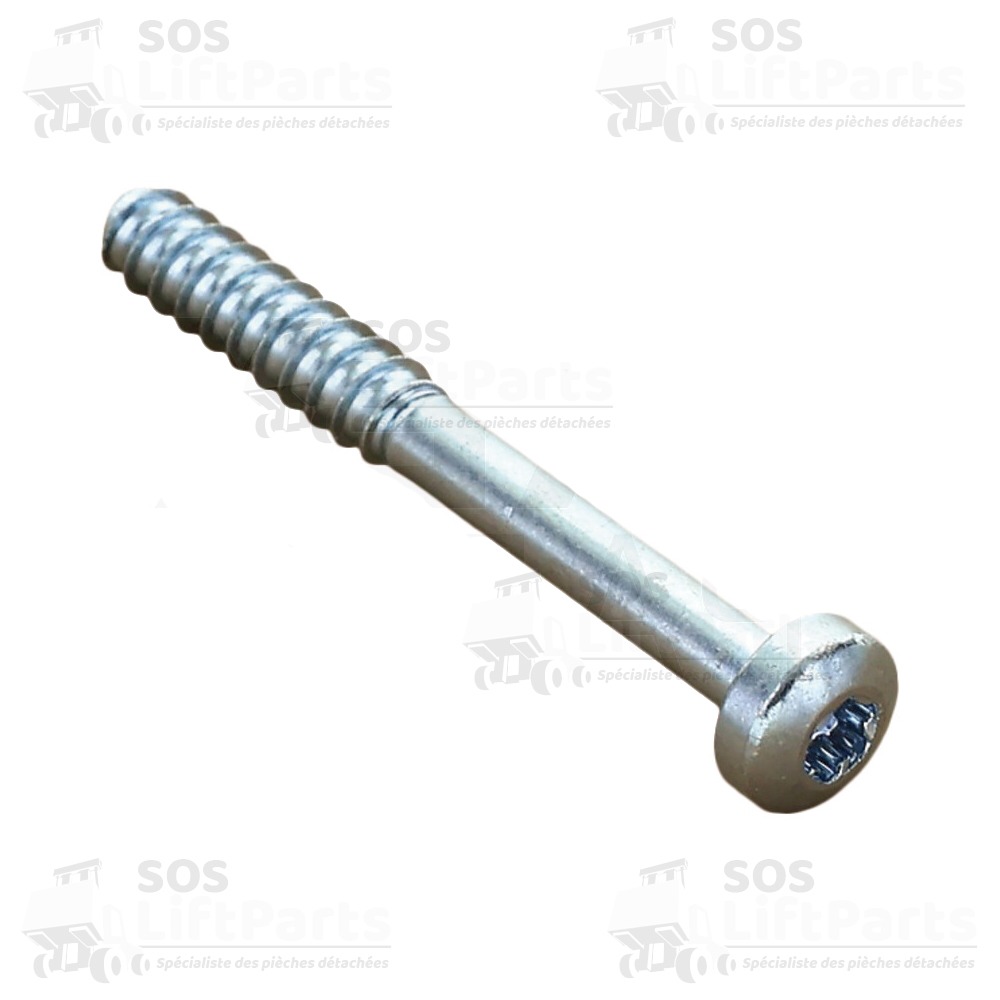 VIS AUTOTARODEUSE E7x60-10.9-A2B SELECTRON VIS6043